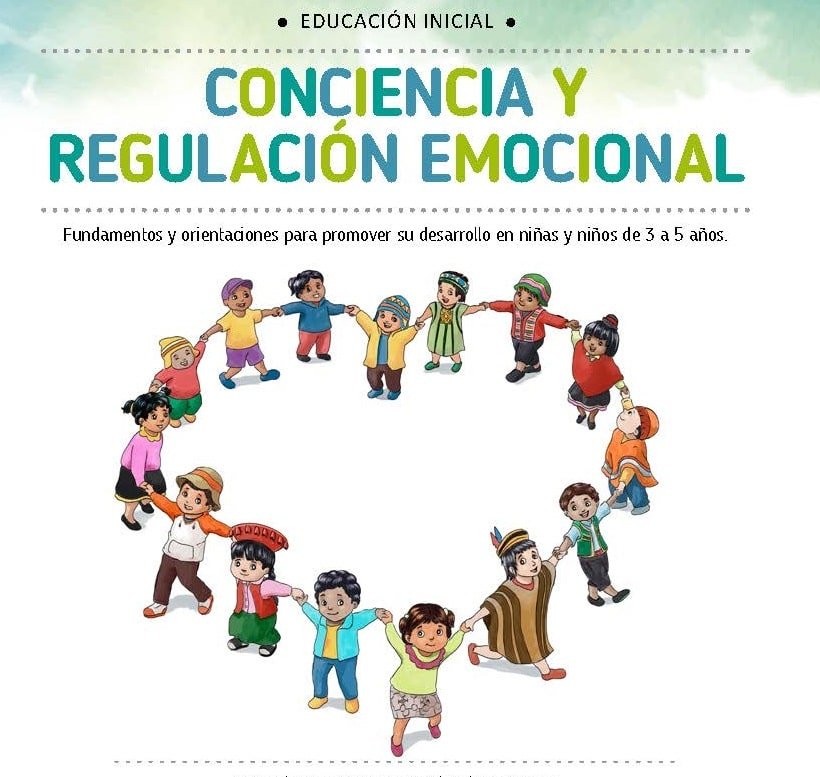 CONCIENCIA Y REGULACION EMOCIONAL